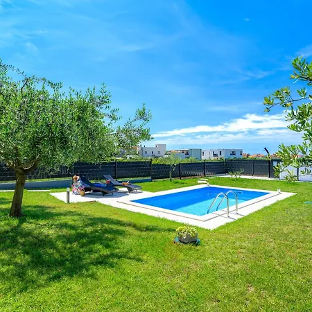 Purple Sky By Briskva